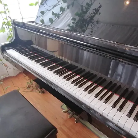 Lovely Flat With Grand Piano, Family Friendly *